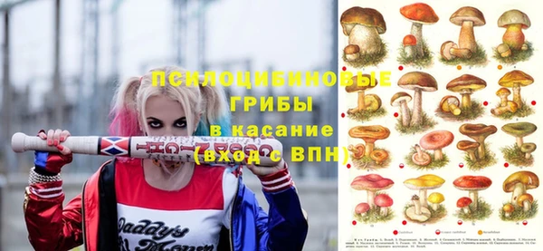 гашик Краснотурьинск