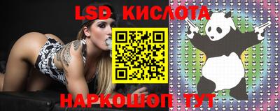 ПСИЛОЦИБИНОВЫЕ ГРИБЫ Заводоуковск