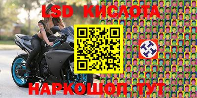 ПСИЛОЦИБИНОВЫЕ ГРИБЫ Заводоуковск