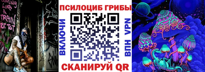 Псилоцибиновые грибы Psilocybe  это телеграм  Невинномысск 
