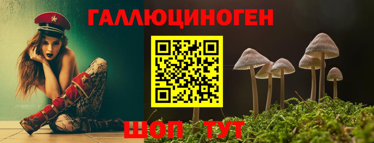Псилоцибиновые грибы Psilocybine cubensis Невинномысск