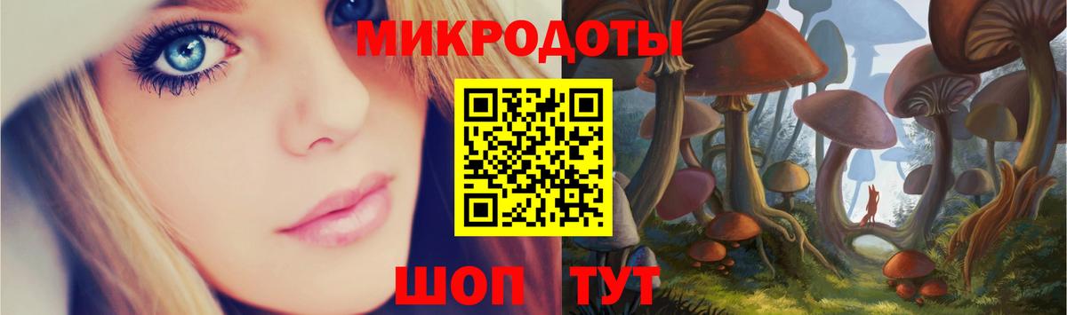 Псилоцибиновые грибы Psilocybine cubensis Невинномысск