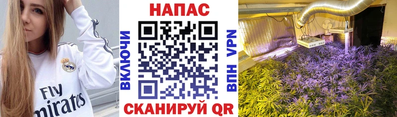 закладки Невинномысск Бошки Шишки конопля